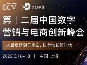 DMES 2022第十二届中国数字营销与电商创新峰会